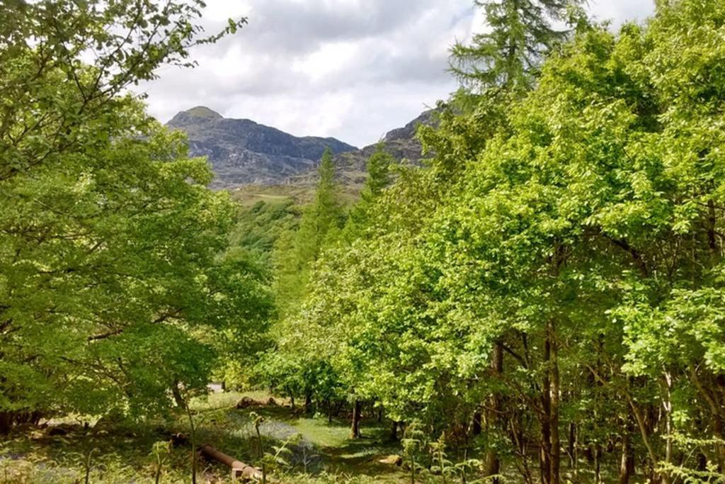 Ty Hen - Quirky Grade II Listed Cottage Blaenau Ffestiniog Luaran gambar